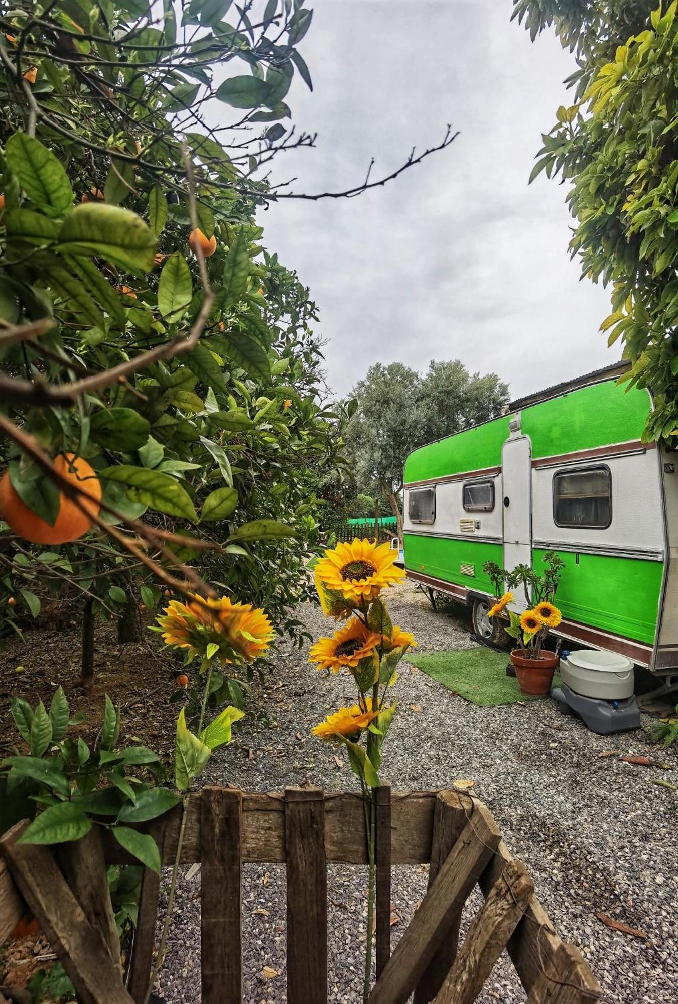 Caravan Of Love By Casa Das Artes ルース・デ・タビラ エクステリア 写真